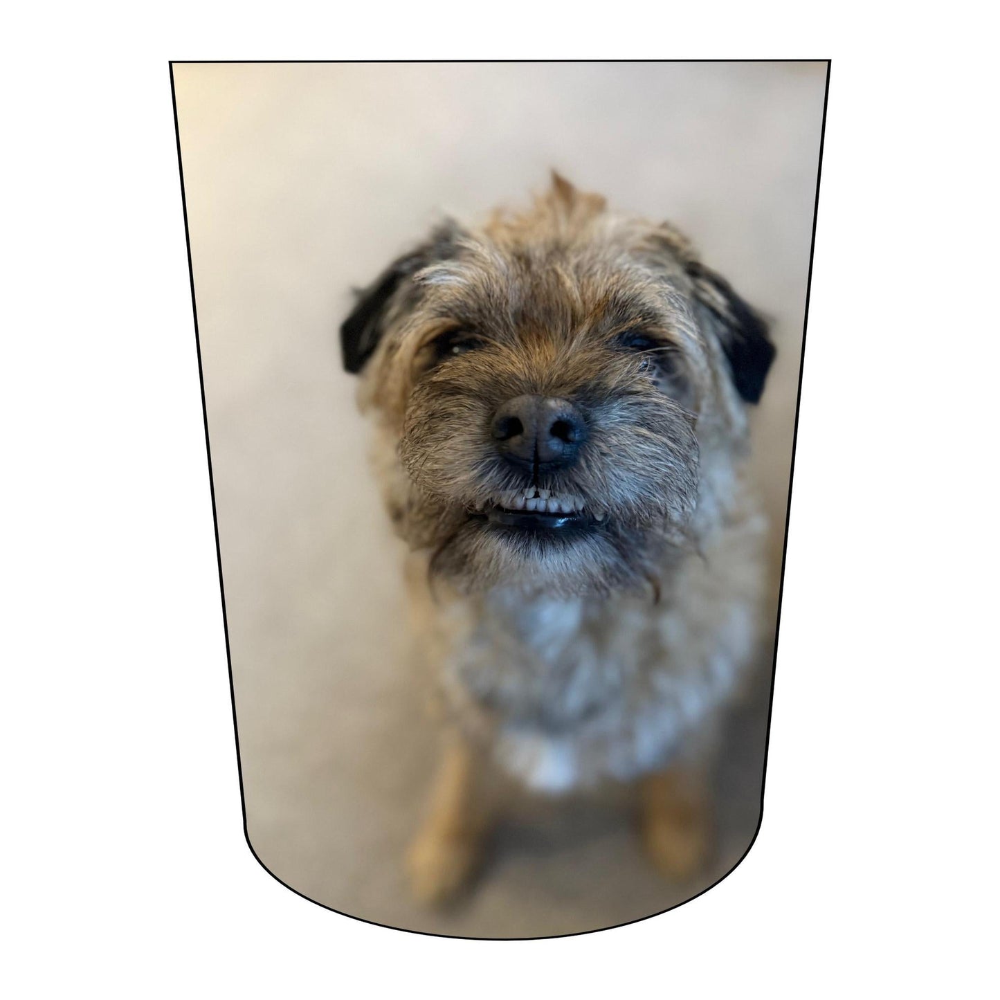 Amputee Sock "k's Dog Smiles", 3ply Stump Sock