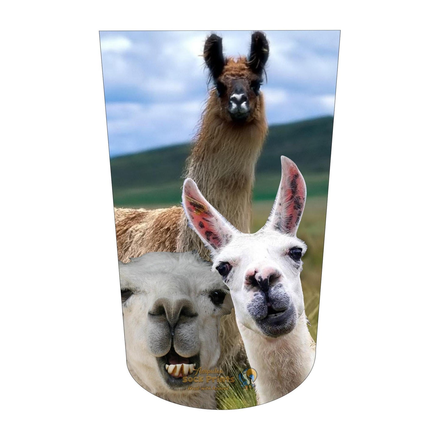 LLama V4