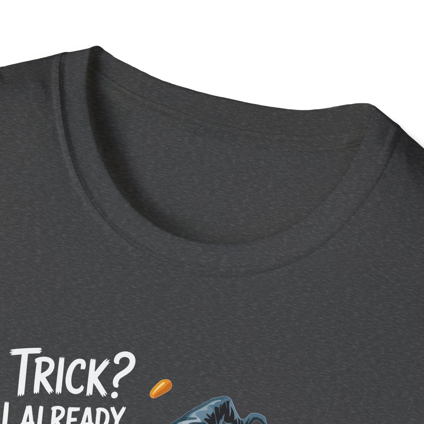 Amputee Humor, Limb Loss Awareness Tee,   Trick Already Lost A Leg Babe V1b