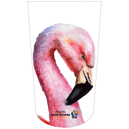 Flamingos Portrait