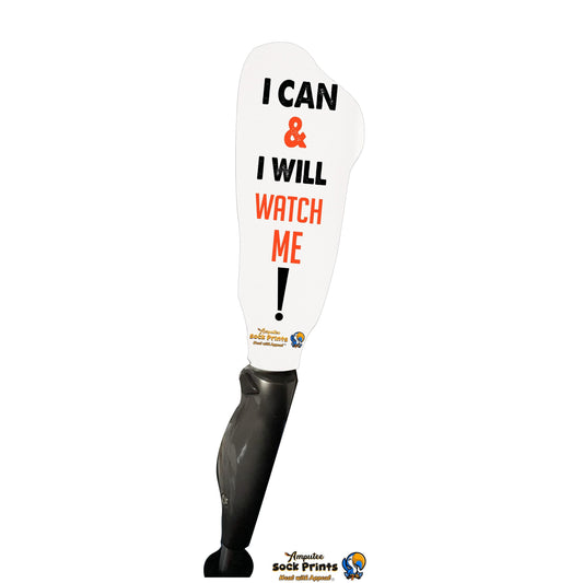 I can n I will V1 BOOT
