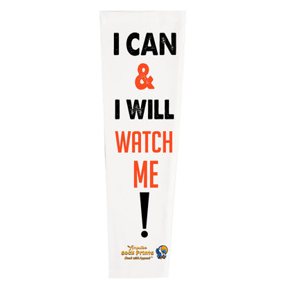 I can n I will V1 SLEEVE