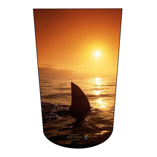Jaws2 2023 BTKA