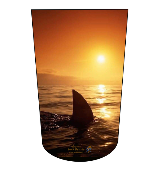 Jaws2 2023 BTKA