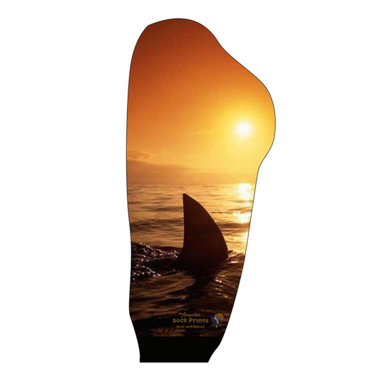 Jaws2 2023 Boot