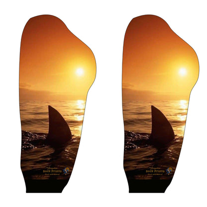 Jaws2 2023 Boot Pair