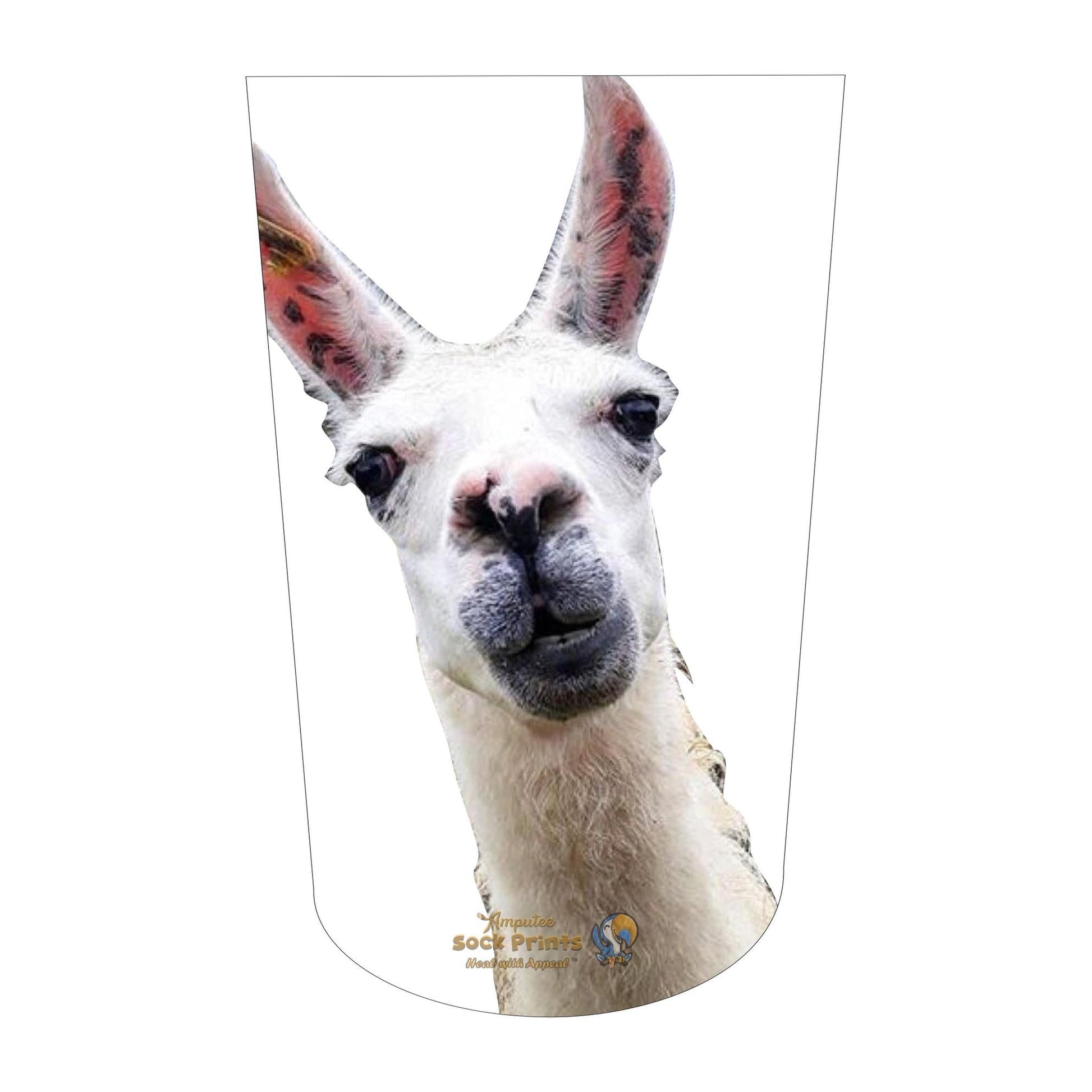 LLama V1