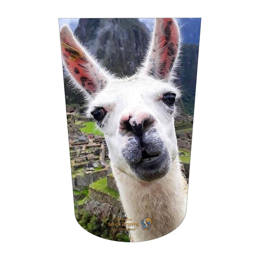 LLama V2