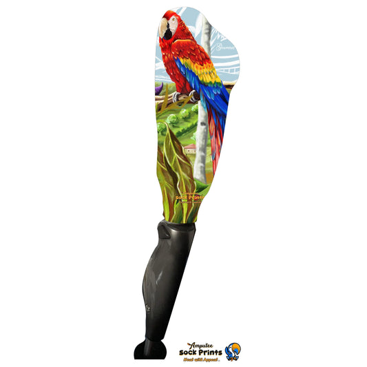 Macaw tropical V1 BOOT