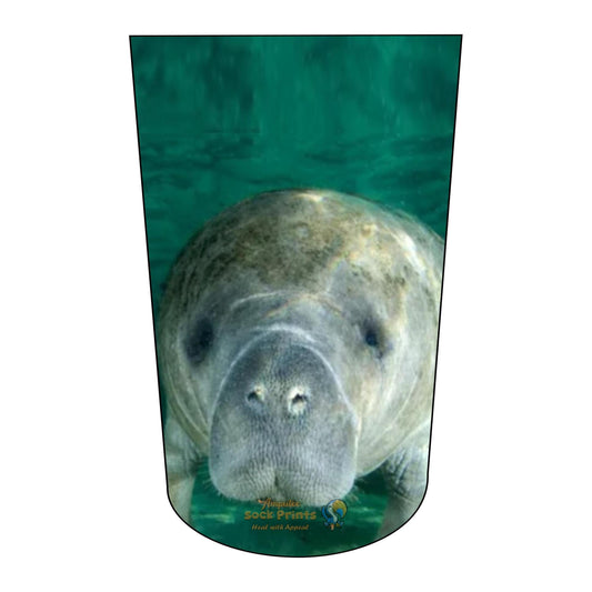 Manatee V1 BTKA REG Mockup