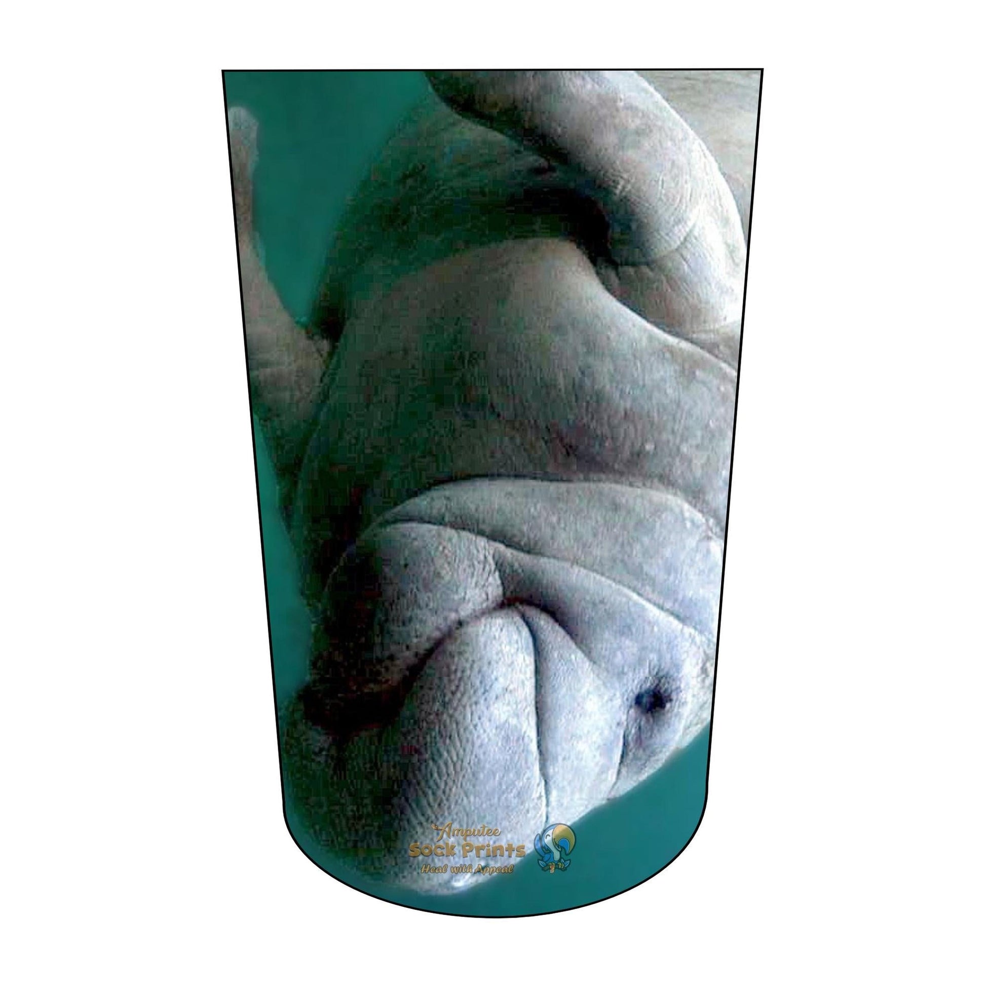 Manatee V2 BTKA REG Mockup
