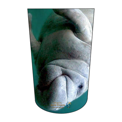 Manatee V2 BTKA REG Mockup