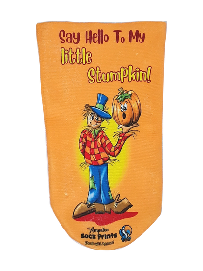 Scarecrow say hello to stumpkin sock