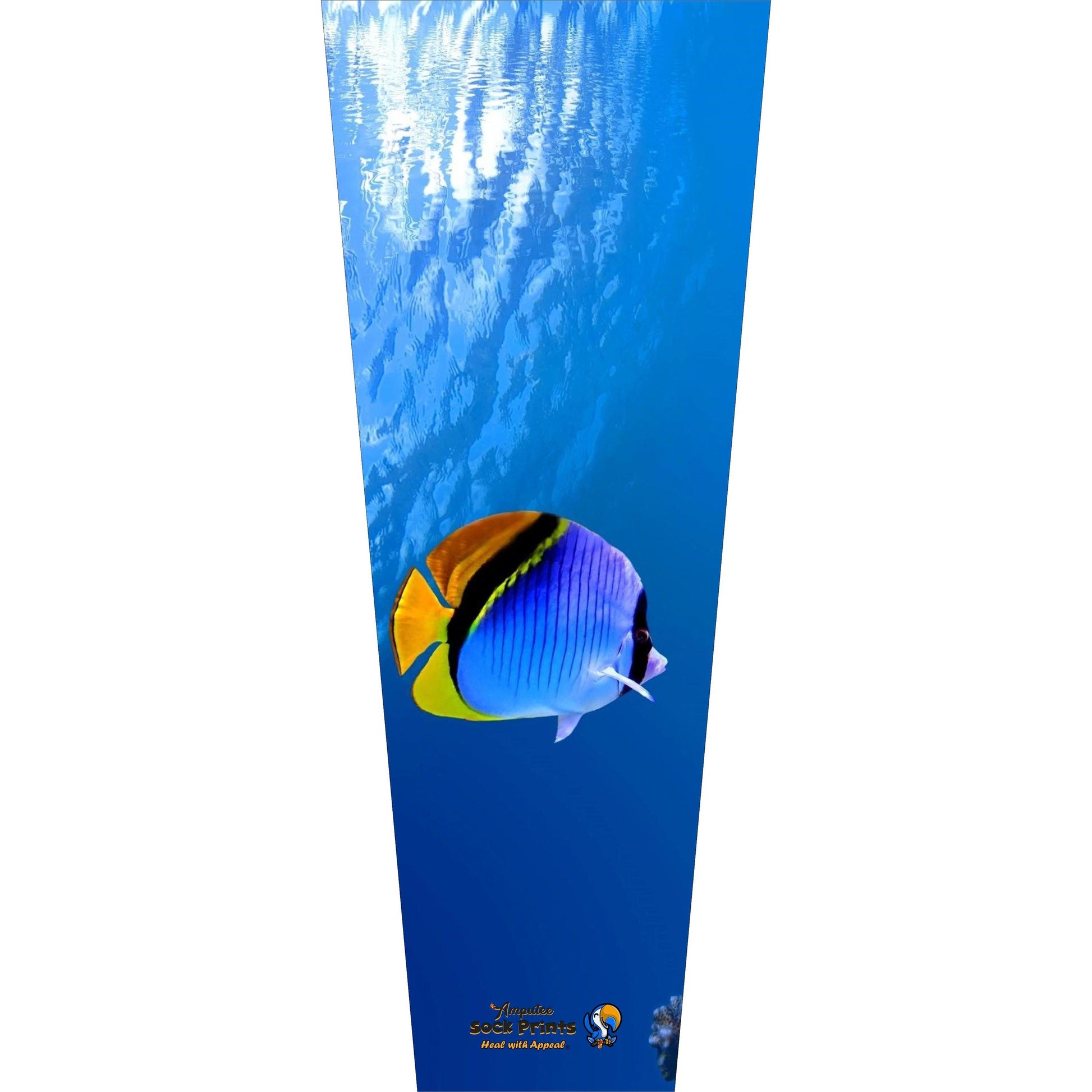 Underwater view w fish V1 BOOT