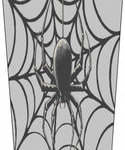 Spider Web Get Ready V1