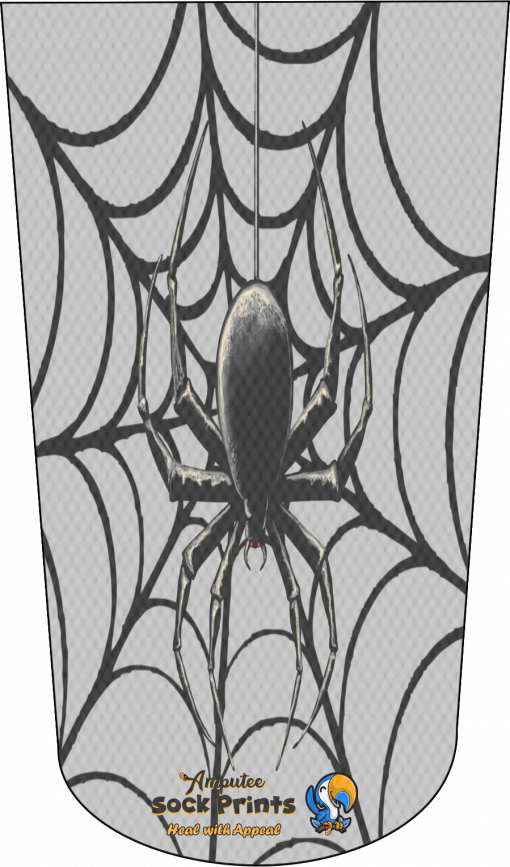 Spider Web Get Ready V1