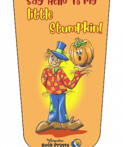 Scarecrow say hello to stumpkin