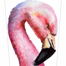 Flamingos Portrait