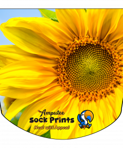 Sunflower Upclose V1 ATKA