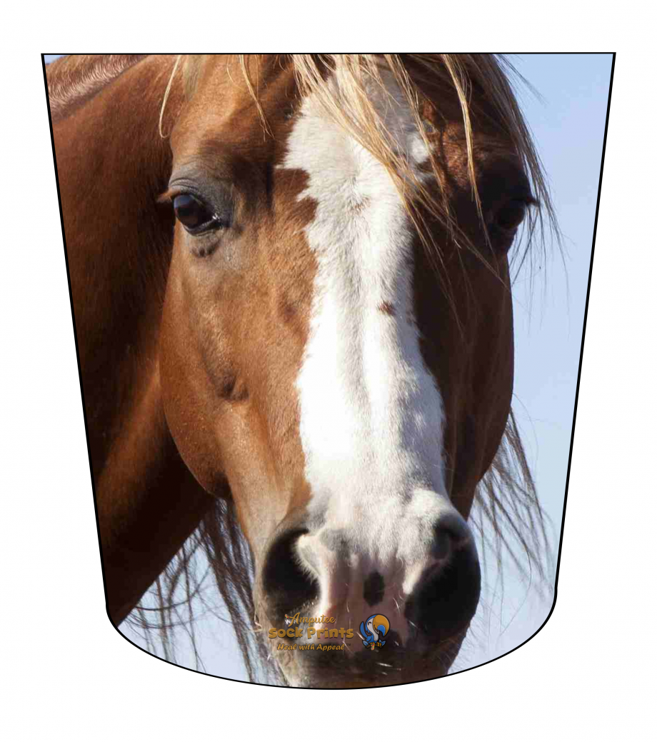 Horse Headshot V1 ATKA