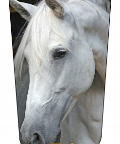 Horse Headshot V2