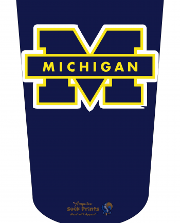 Michigan Wolverines V2