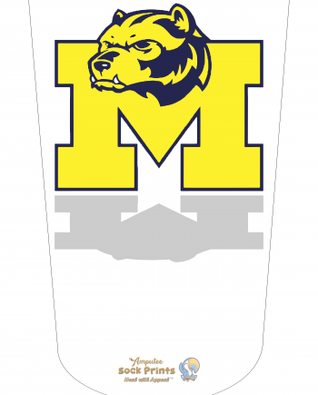 Michigan Wolverines V3