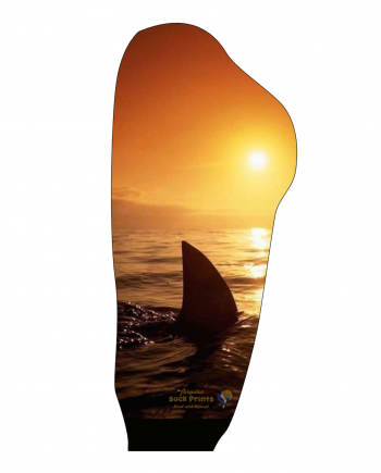 Jaws2 2023 Boot